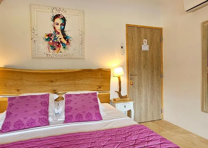 Le Petit Paradis 24 Groléjac